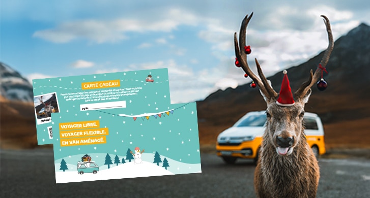 Holiday reindeer promoting christmas vouchers