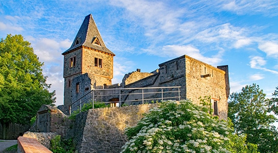 Medieval castle in Darmstadt.