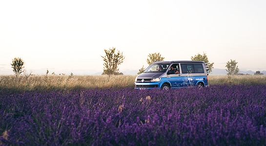 blue campervan driving through a lavender field in Provence