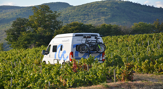 White Fiat Ducato campervan from roadsurfer standing in a vineyard