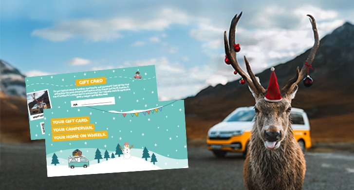Holiday Reindeer Promoting Christmas Vouchers