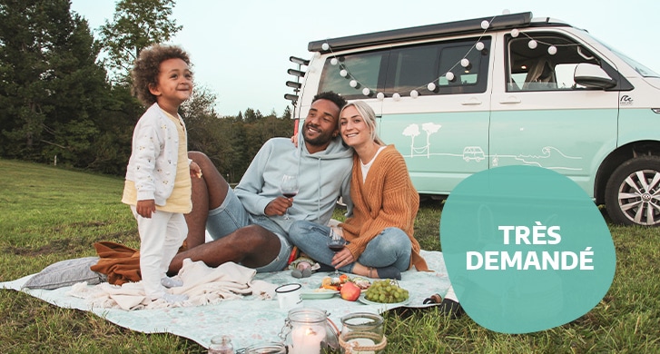 family-having-a-picnic-in-spring-fr