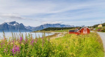 Roadtrip Dänemark Schweden