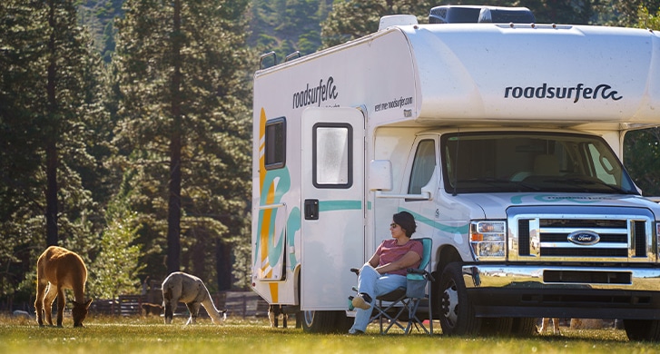 Women Relaxing In The Forest Watching Animals