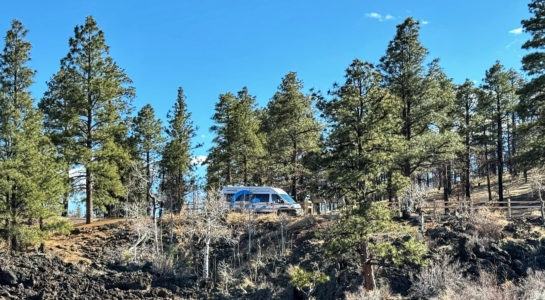 A Roadsurfer Camper Van Parked With Trees All Around