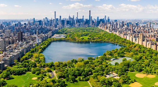 Bird view photo over central park in Manhatten, New York.