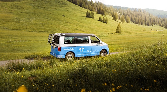 Blue VW camper stands in an alpine meadow