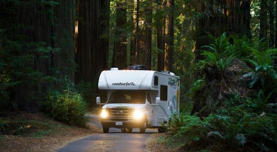 roadsurfer RV driving through Avenue of the Giants among massive redwood trees on a Seattle to San Francisco road trip