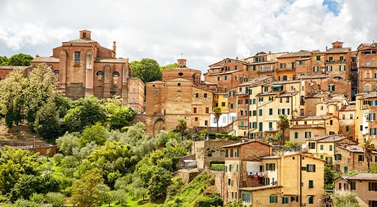 Barock style houses built on a hill in Siena.