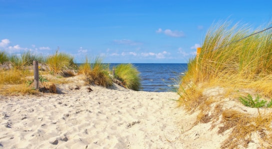 View on a beach at the baltic sea on a sunny day