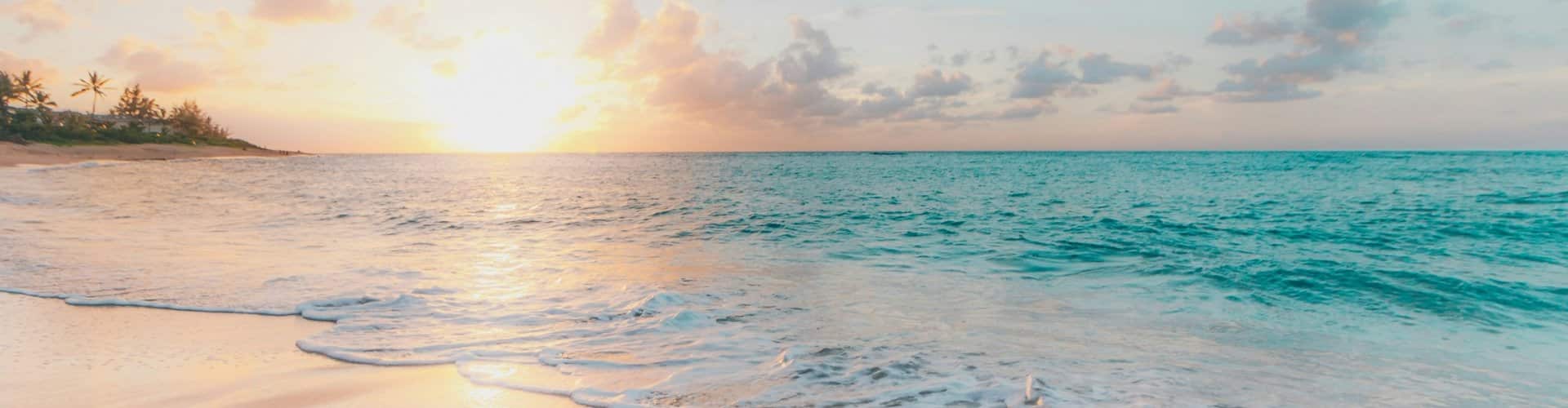 A wide sandy beach in Los Angeles with palm trees and ocean waves under a golden sunset, ideal for RV travelers exploring California’s coast