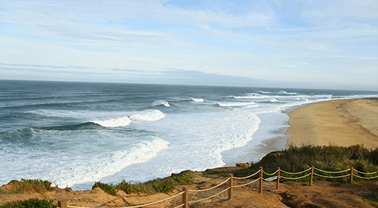 Big waves seen from a hill on the surfer beach in Nazaré