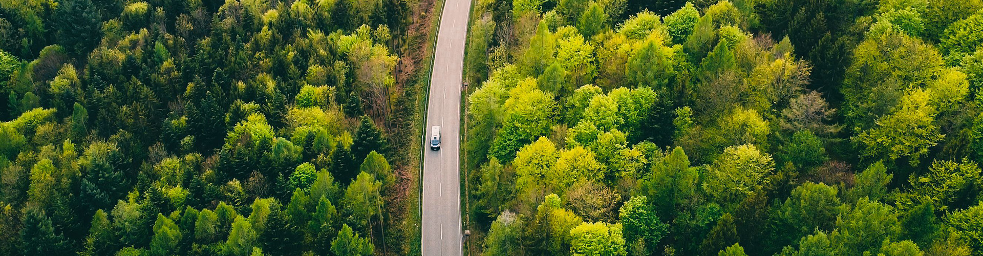 Bird view of a white van driving on a road surrounded by trees blossoming in green.