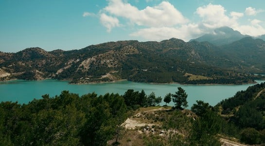 Scenic view of a lake surrounded by rolling hills and pine trees near the San Gabriel foothills, resembling Bonelli Bluffs RV Resort in Southern California