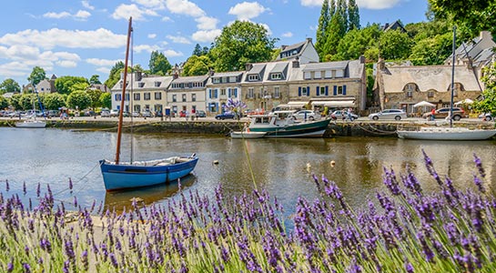 Picturesque view of Brittany, France with lavender in the foreground and a small harbor in the background