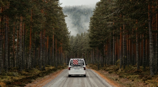 white camper driving on a street through a forest, gloomy atmosphere