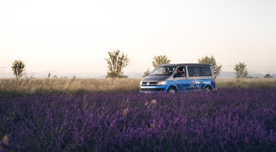 campervan in a purple lavender field
