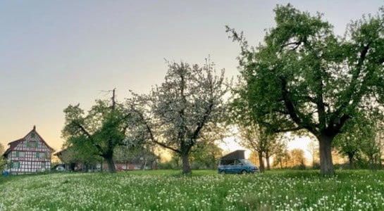 Campervan parked under fruit trees on a green lawn on a beautiful farm