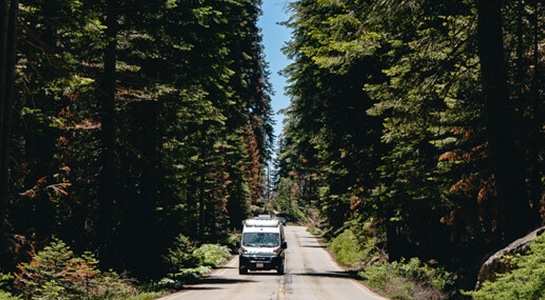 campervan on the road in a forest in canada