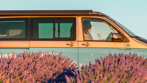 Campervan parked behind lavender field in France.
