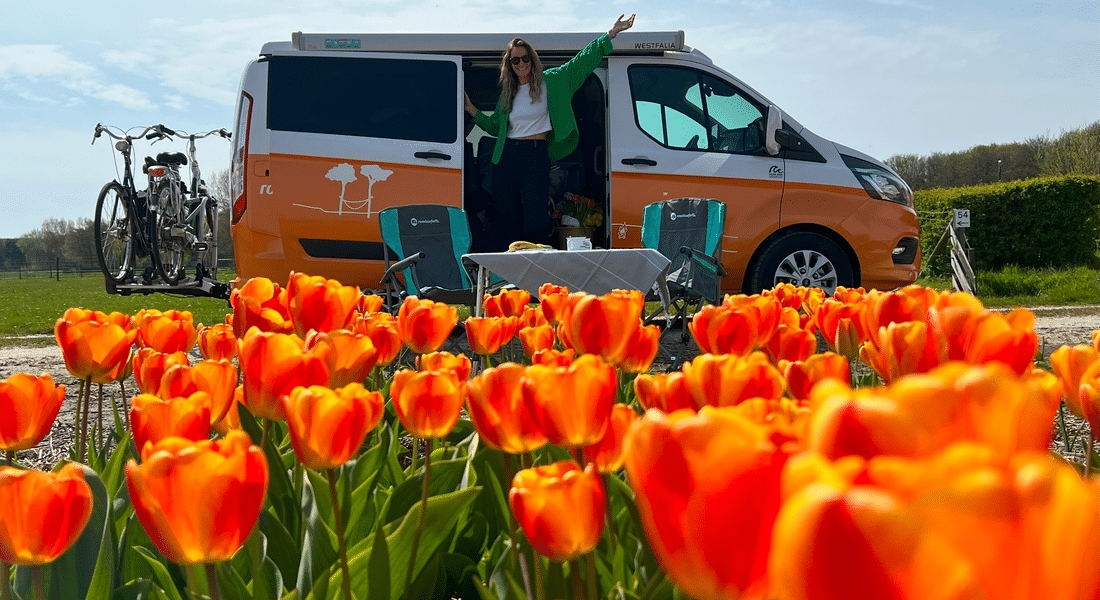 Orange camper parked in front of a field of red and orange poppies in the Netherlands.