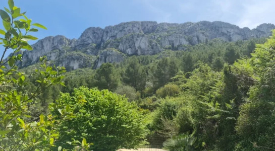 roadsurfer spots nearby Spanish mountains
