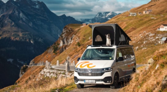 VW campervan parked in the mountains with a dog sitting in the pop-up roof