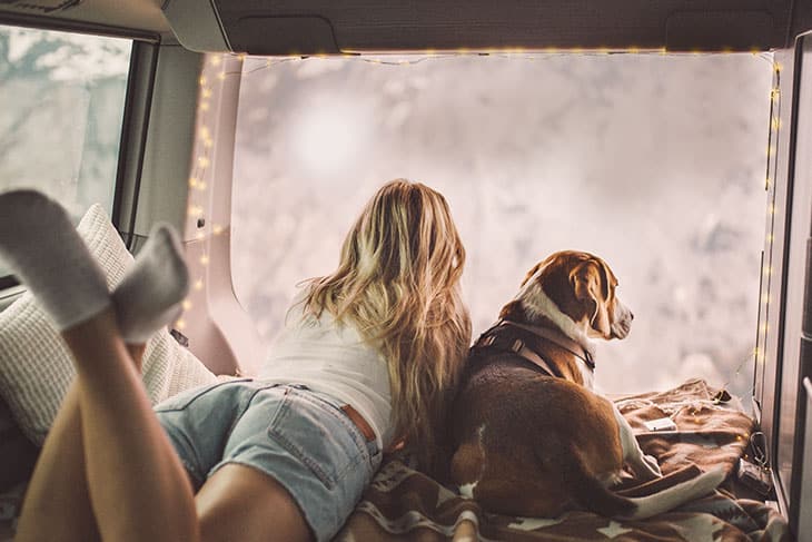 girl with a dog lying in a campervan