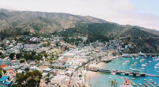 Boats docked in Avalon Harbor with hillside town on Catalina Island