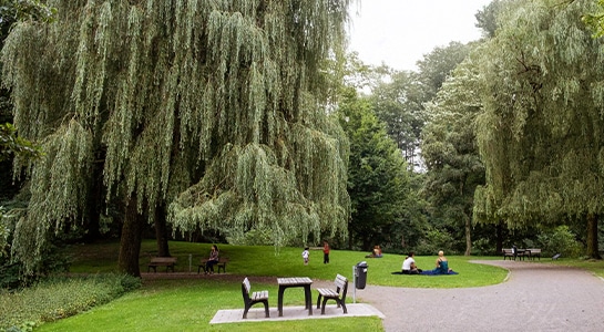 Chair and table situated in a park with people sitting on the grass behind it.
