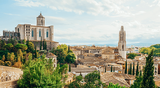 View over the city of Girona showing a castle and a cathedral