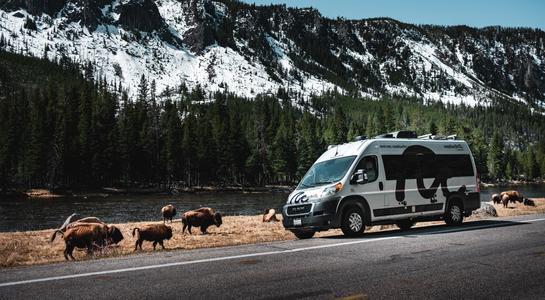 Class B RV rental parked beside a river while bison graze in front of a forested mountain backdrop