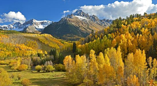 Golden aspens and snow-capped peaks in the Colorado Rockies during autumn, viewed under a clear blue sky.