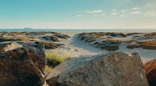 Wide sandy dunes and calm shoreline at Coronado Island, perfect for family days at California beaches.