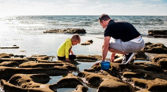 Parent and child exploring tide pools at Crystal Cove—fun things to do with kids in California.
