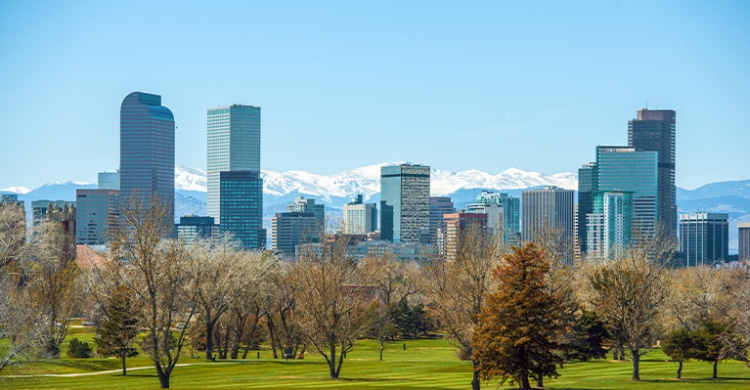 Denver Skyline behind a green park with fall coloured leaves and the snowy rocky mountains in the far background.