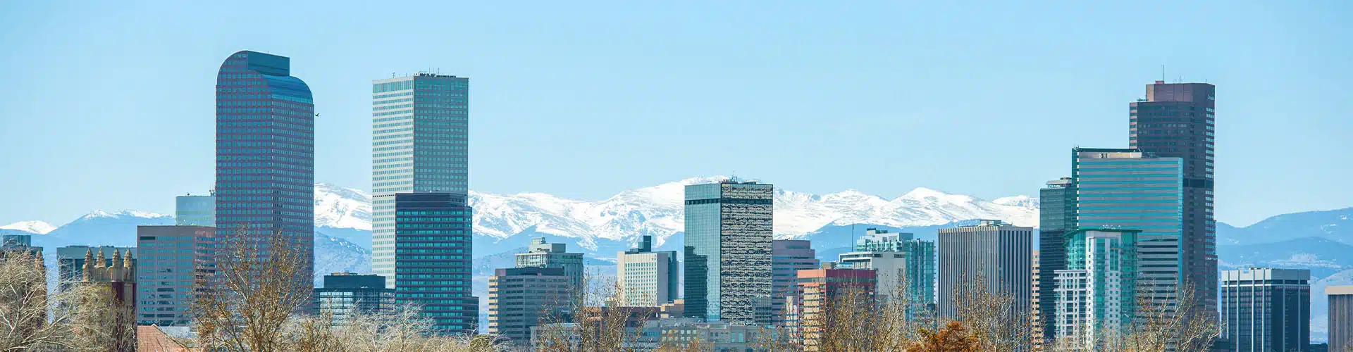 Denver Skyline behind a green park with fall coloured leaves and the snowy rocky mountains in the far background.