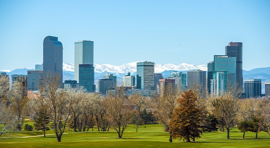 Denver Skyline behind a green park with fall coloured leaves and the snowy rocky mountains in the far background.