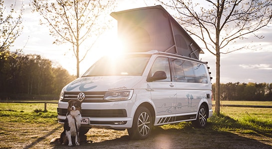 Dog sitting in front of a white campervan with its pop up roof open parked on a green field.