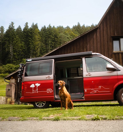 Dog sitting in front of campervan parked in front of a hut in the forest