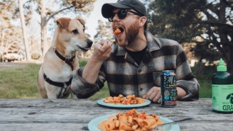 Dog watching a camper eat pasta at a picnic table during an RV trip