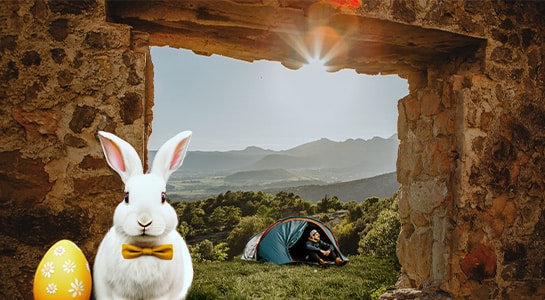 Cute easter bunny sitting at a campsite enjoying the sun