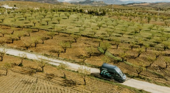 Grey Fiat Ducato driving on a road through olive tree fields