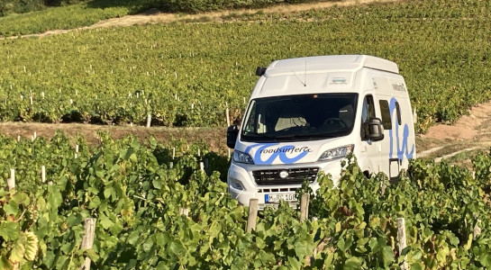 Fiat Ducato camper standing in a wine field in France