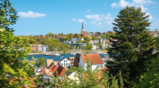 City of Flensburg captured through the trees.