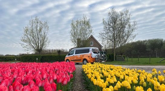 Orange Ford Nugget campervan standing on a road with tlps in netherlands