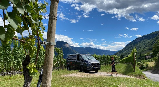 Gey Ford Nugget camper parked in the middle of a vineyard with mountain scenery in the background