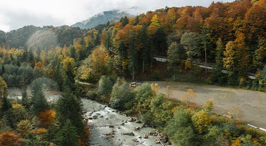 Forest next to a river in Germany in fall, mountains nearby with low-hanging clouds