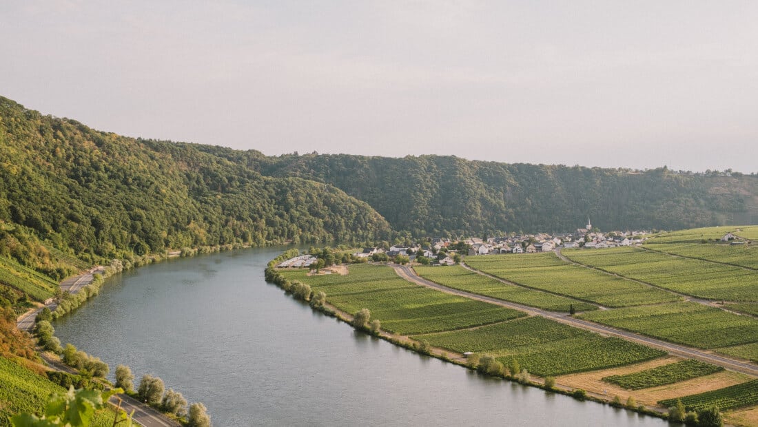 Wineyards with river in Germany