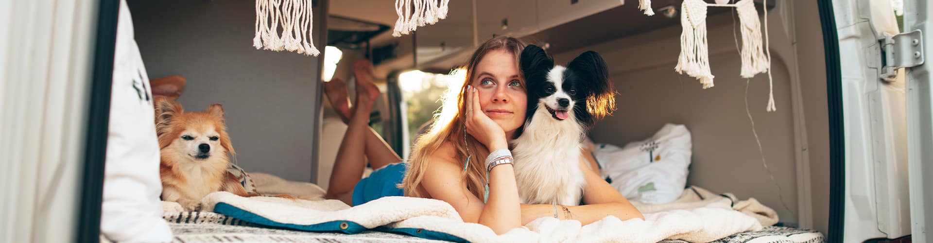 Woman lying in the back of a boxvan hugging one dog and another dog lying beside her.